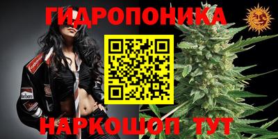 jwh Кимры