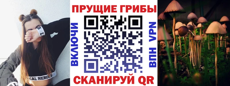 Галлюциногенные грибы Magic Shrooms  Мценск 