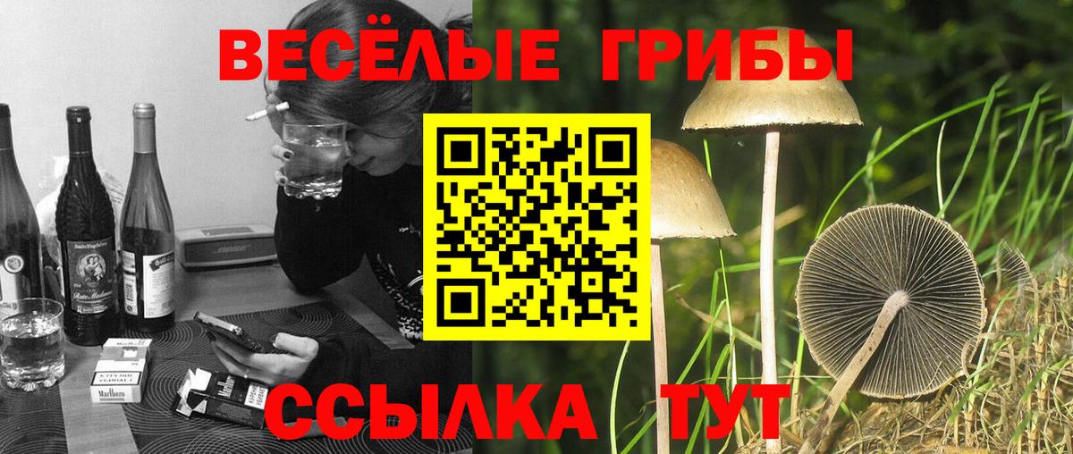 Галлюциногенные грибы мухоморы  наркота  Мценск  Вход с VPN 
