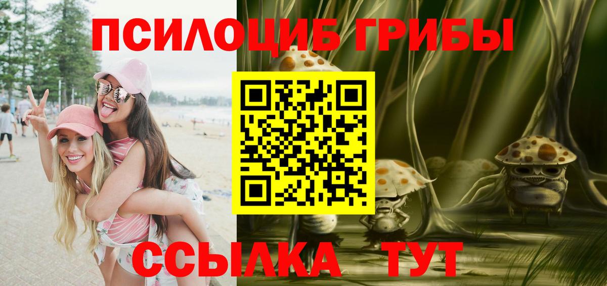 Галлюциногенные грибы Psilocybine cubensis Мценск